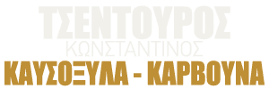 Logo, Τσεντούρος Κωνσταντίνος